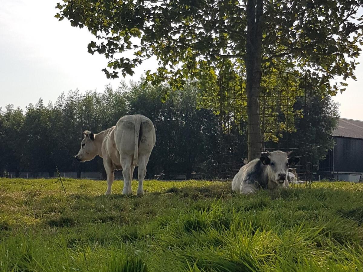 Hotel Bed Bij Boertje Pijnacker Esterno foto